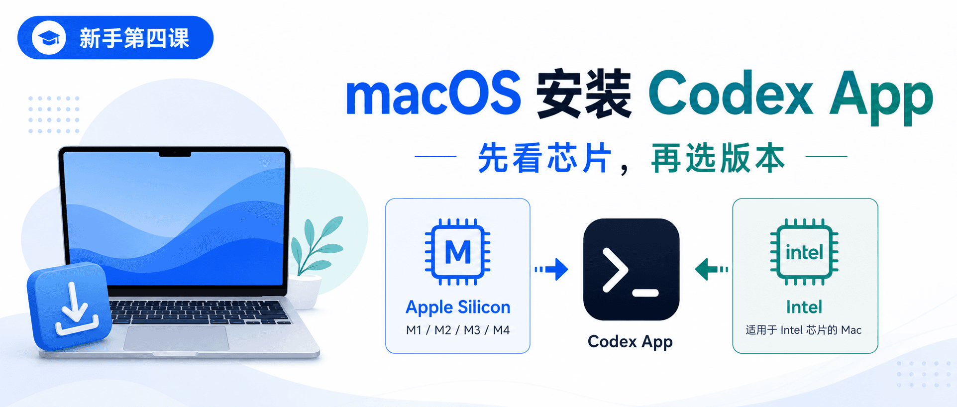 Codex App 新手课 04:macOS 安装,先看芯片再选版本