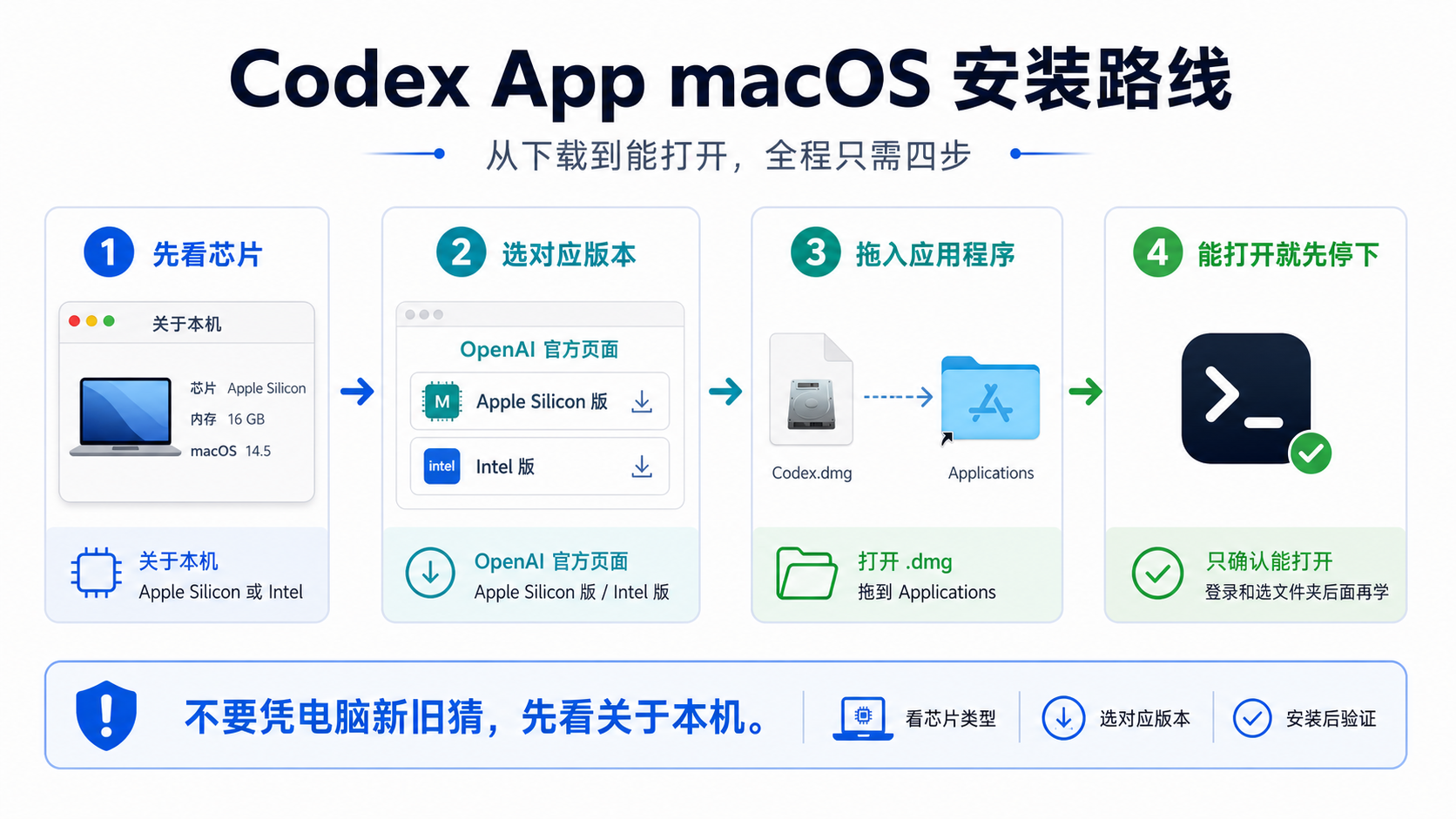 Codex App macOS 安装路线
